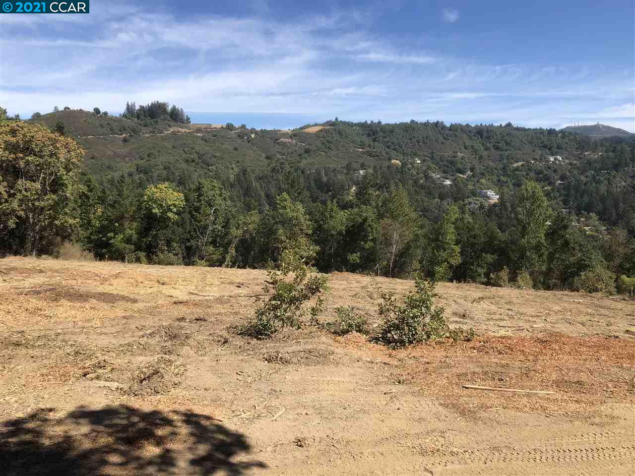 25425 Radonich Rd, LOS GATOS, California 95033, ,Lots And Land,For Sale,Radonich Rd,40964685