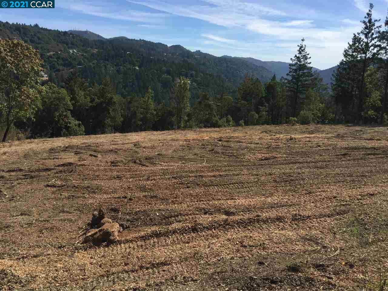 25425 Radonich Rd, LOS GATOS, California 95033, ,Lots And Land,For Sale,Radonich Rd,40964685