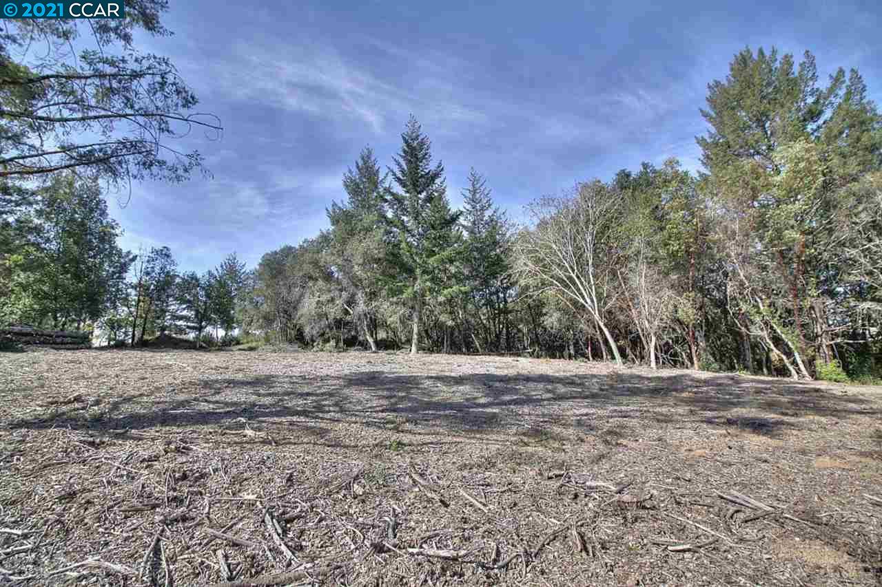 25425 Radonich Rd, LOS GATOS, California 95033, ,Lots And Land,For Sale,Radonich Rd,40964685