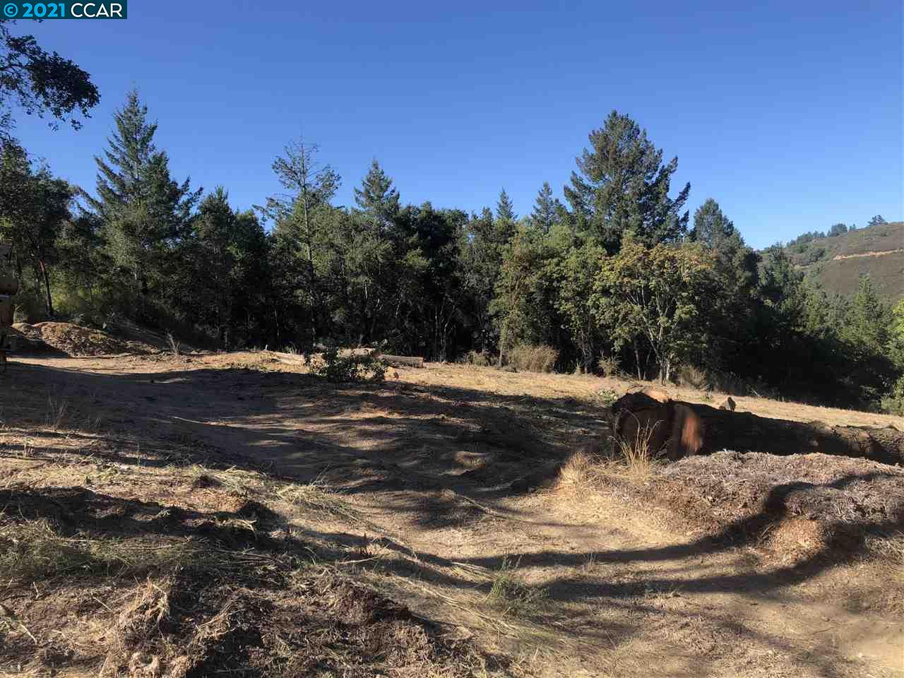 25425 Radonich Rd, LOS GATOS, California 95033, ,Lots And Land,For Sale,Radonich Rd,40964685