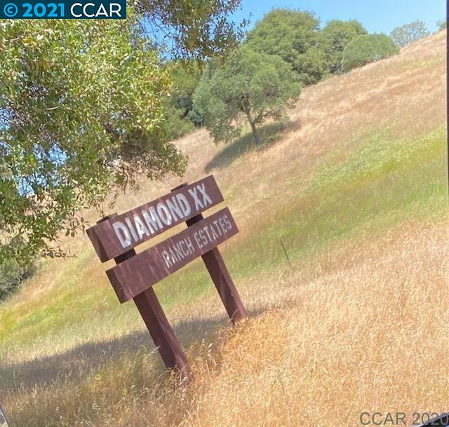 480 Hodson Road, COPPEROPOLIS, California 95228, ,Lots And Land,For Sale,Hodson Road,40964746