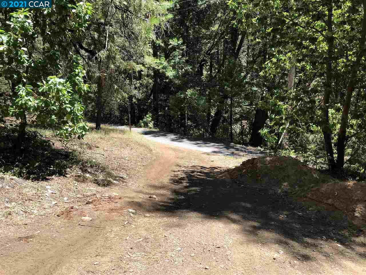 23240 Van De Hei Ranch Rd, PIONEER, California 95666, ,Lots And Land,For Sale,Van De Hei Ranch Rd,40964748