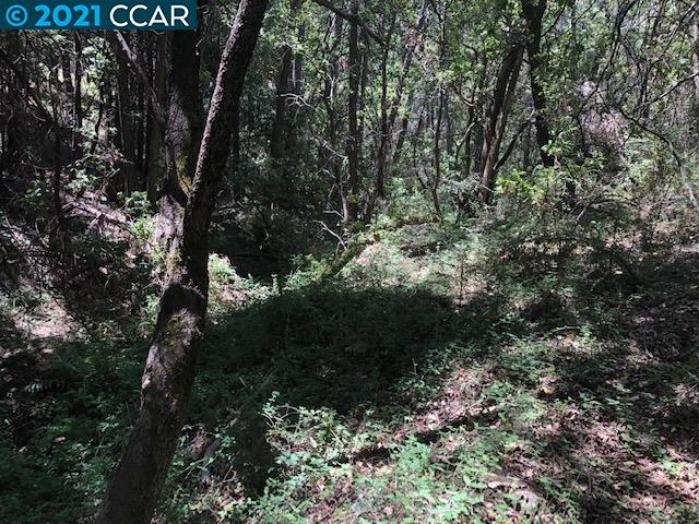 23240 Van De Hei Ranch Rd, PIONEER, California 95666, ,Lots And Land,For Sale,Van De Hei Ranch Rd,40964748