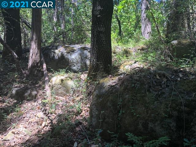 23240 Van De Hei Ranch Rd, PIONEER, California 95666, ,Lots And Land,For Sale,Van De Hei Ranch Rd,40964748