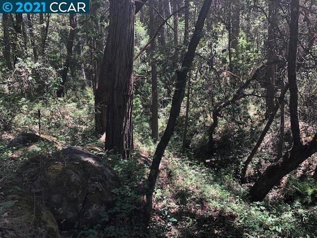 23240 Van De Hei Ranch Rd, PIONEER, California 95666, ,Lots And Land,For Sale,Van De Hei Ranch Rd,40964748