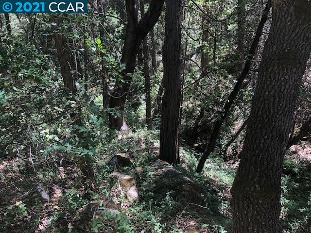 23240 Van De Hei Ranch Rd, PIONEER, California 95666, ,Lots And Land,For Sale,Van De Hei Ranch Rd,40964748