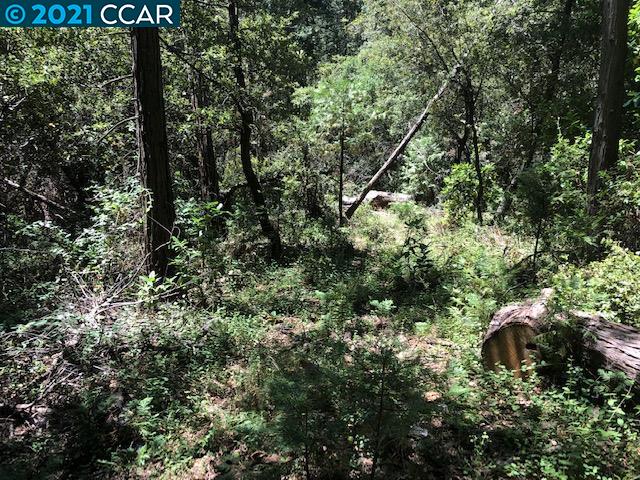 23240 Van De Hei Ranch Rd, PIONEER, California 95666, ,Lots And Land,For Sale,Van De Hei Ranch Rd,40964748