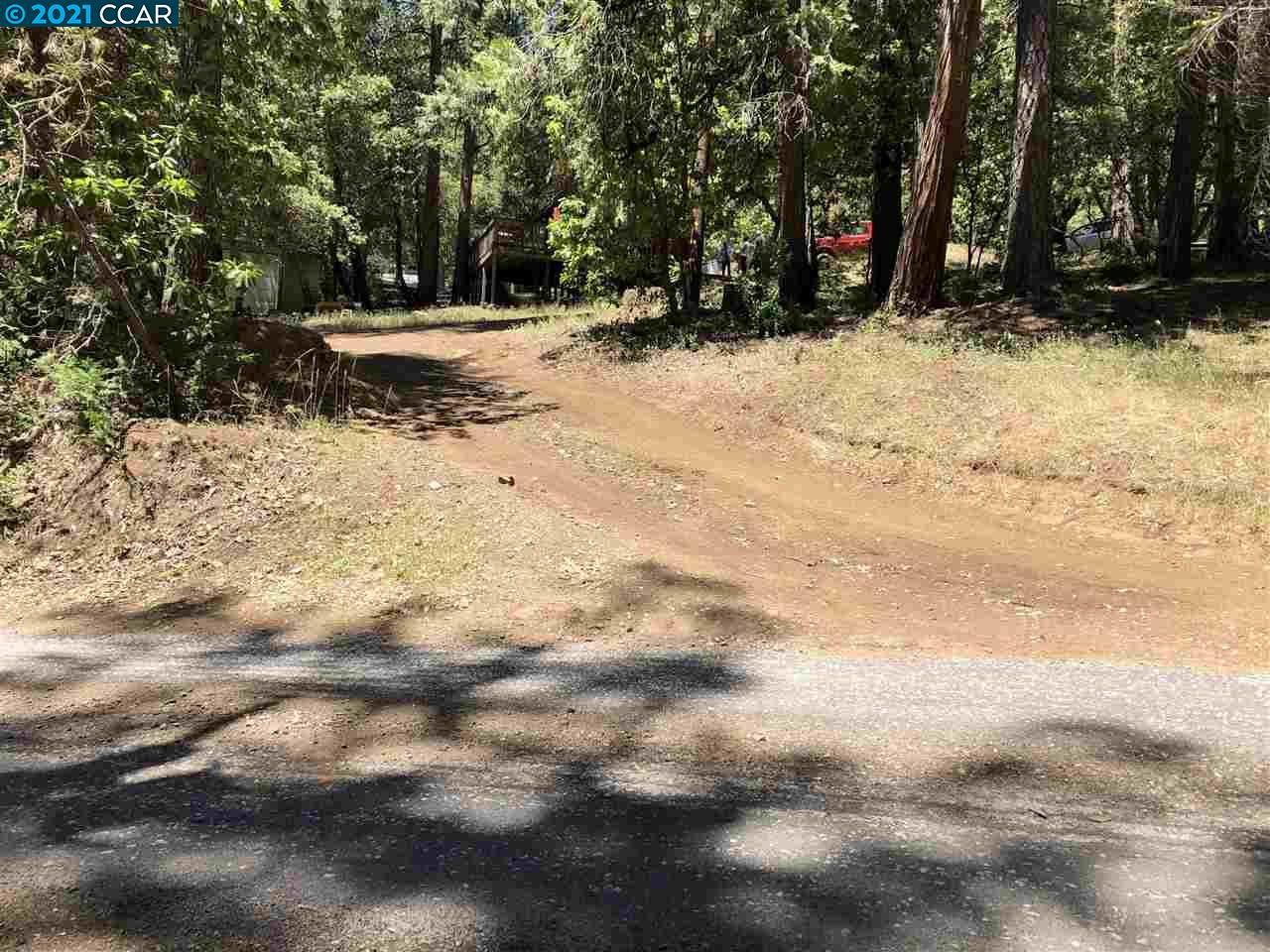23240 Van De Hei Ranch Rd, PIONEER, California 95666, ,Lots And Land,For Sale,Van De Hei Ranch Rd,40964748