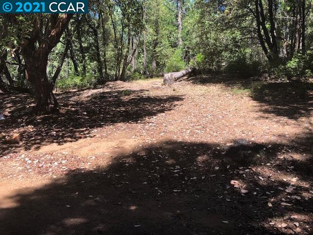 23240 Van De Hei Ranch Rd, PIONEER, California 95666, ,Lots And Land,For Sale,Van De Hei Ranch Rd,40964748