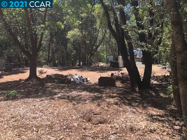 23240 Van De Hei Ranch Rd, PIONEER, California 95666, ,Lots And Land,For Sale,Van De Hei Ranch Rd,40964748