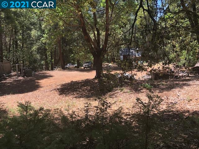 23240 Van De Hei Ranch Rd, PIONEER, California 95666, ,Lots And Land,For Sale,Van De Hei Ranch Rd,40964748