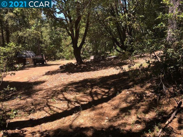 23240 Van De Hei Ranch Rd, PIONEER, California 95666, ,Lots And Land,For Sale,Van De Hei Ranch Rd,40964748