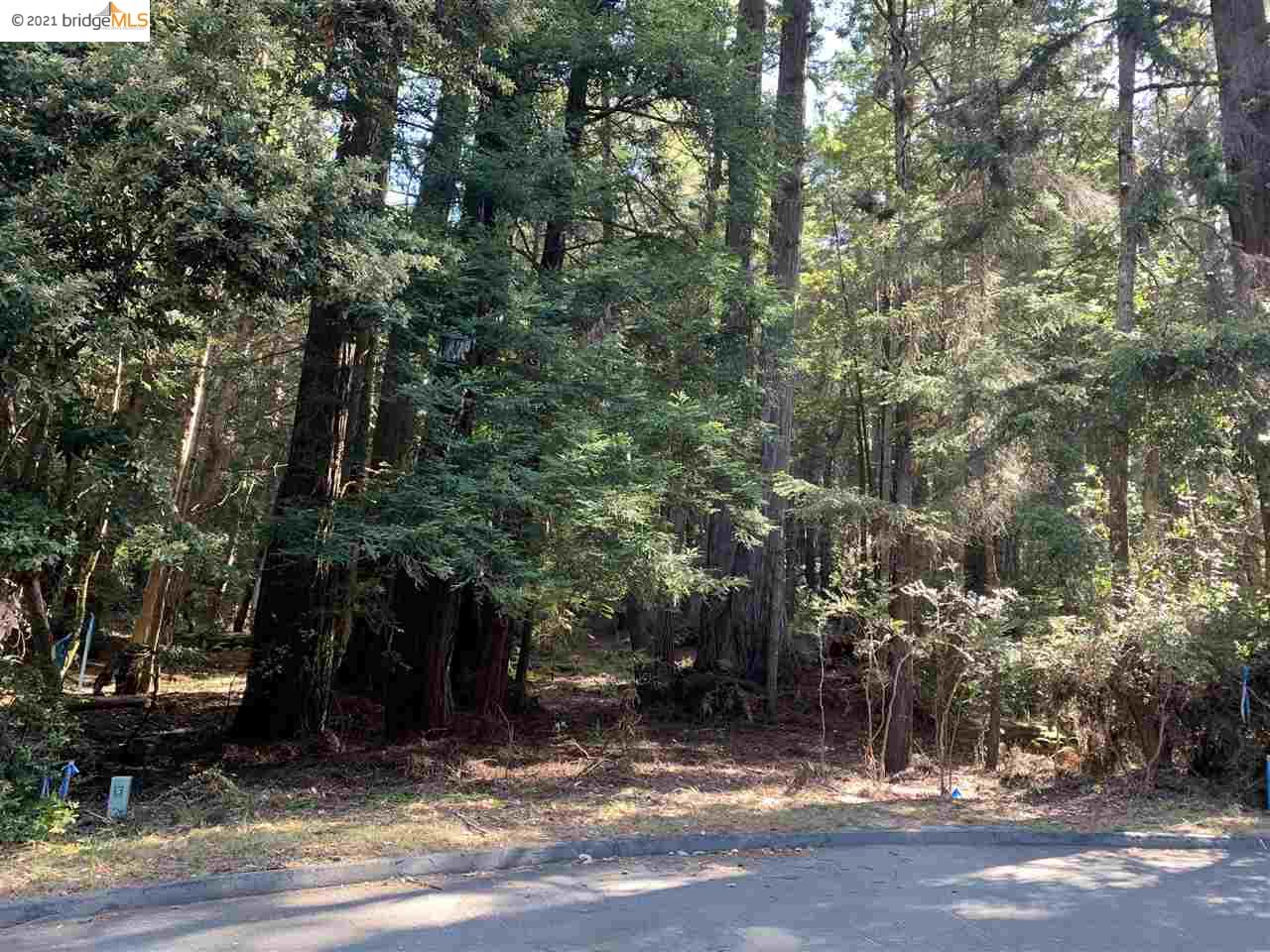 352 Pine Cone, The Sea Ranch, California 95497, ,Lots And Land,For Sale,Pine Cone,40964773