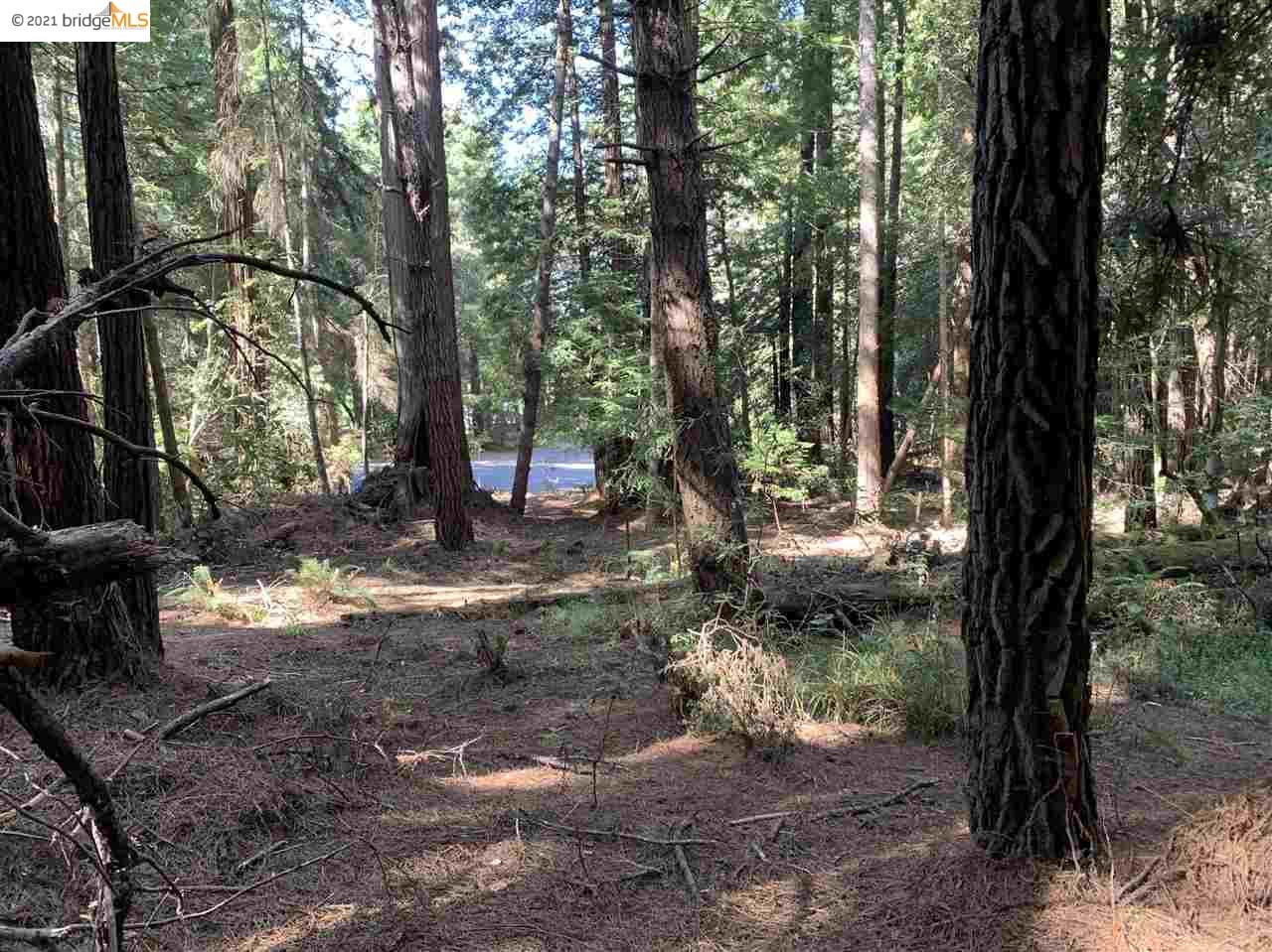 352 Pine Cone, The Sea Ranch, California 95497, ,Lots And Land,For Sale,Pine Cone,40964773
