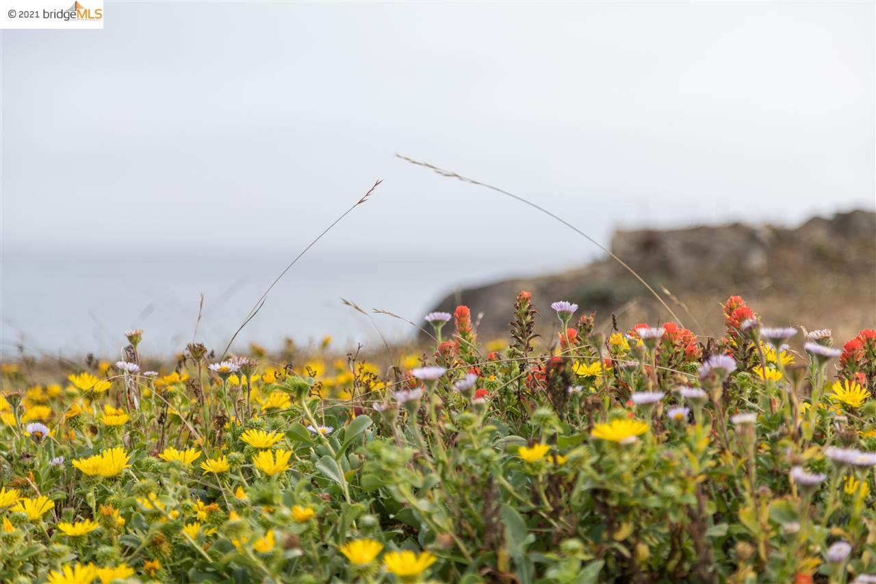 352 Pine Cone, The Sea Ranch, California 95497, ,Lots And Land,For Sale,Pine Cone,40964773