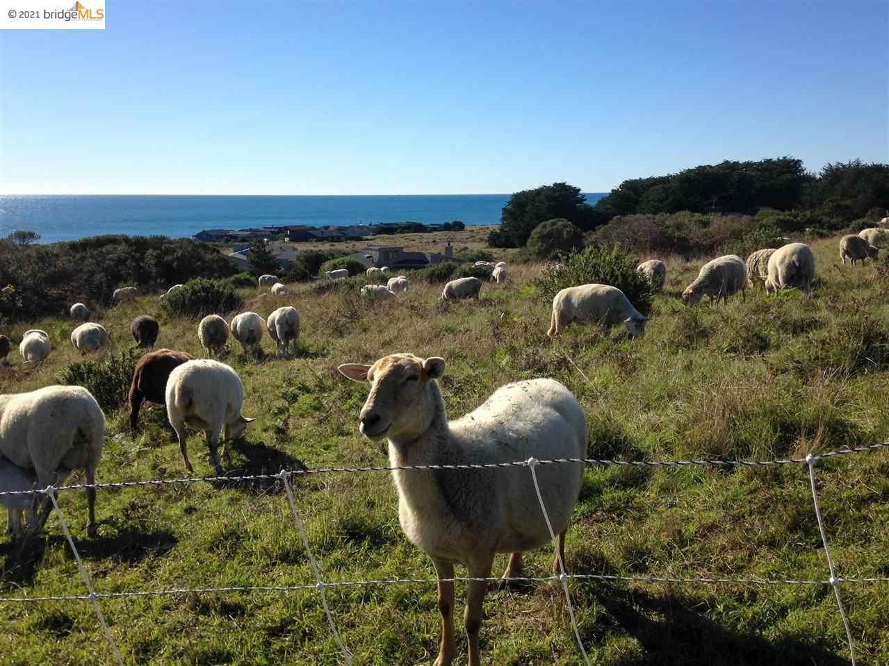 352 Pine Cone, The Sea Ranch, California 95497, ,Lots And Land,For Sale,Pine Cone,40964773