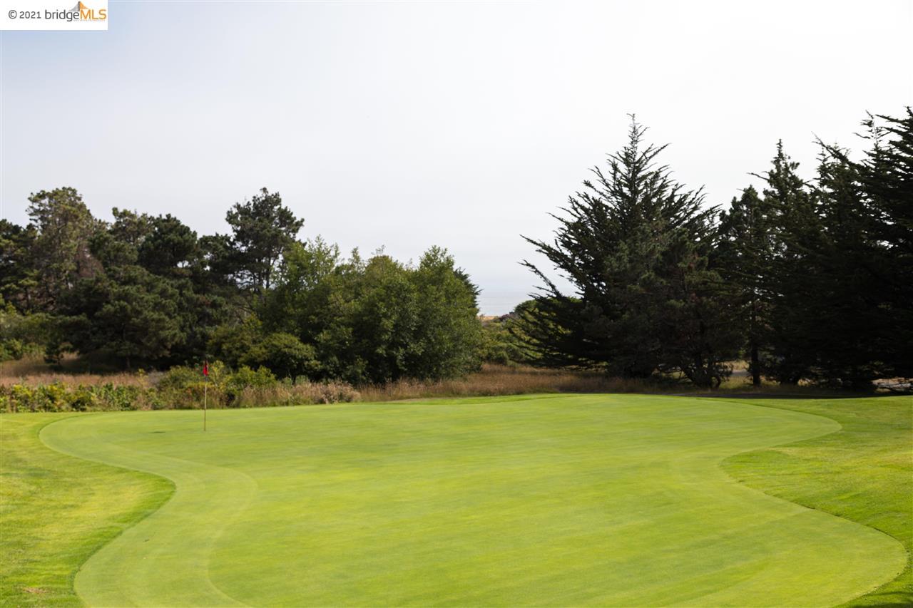 352 Pine Cone, The Sea Ranch, California 95497, ,Lots And Land,For Sale,Pine Cone,40964773