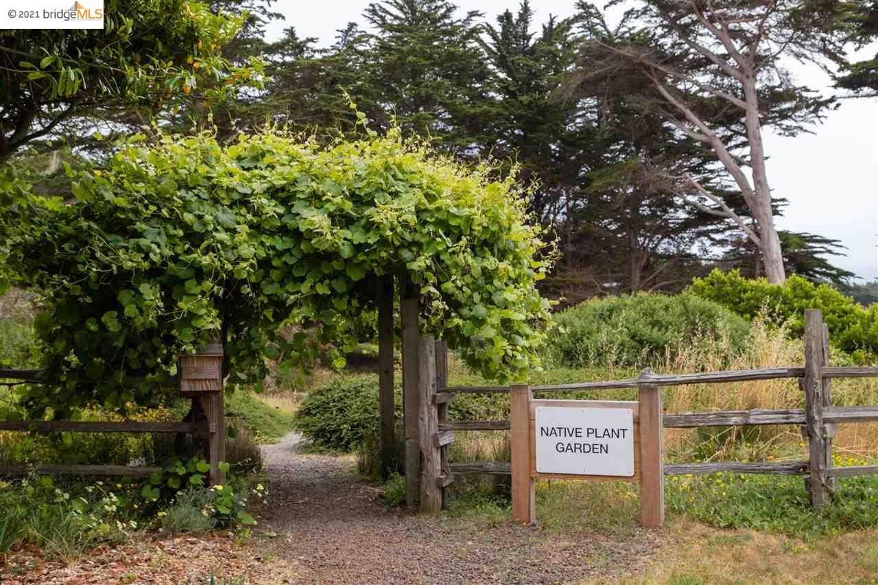 352 Pine Cone, The Sea Ranch, California 95497, ,Lots And Land,For Sale,Pine Cone,40964773