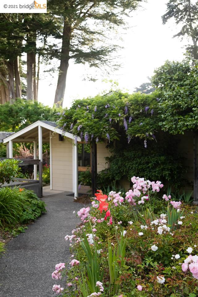 352 Pine Cone, The Sea Ranch, California 95497, ,Lots And Land,For Sale,Pine Cone,40964773