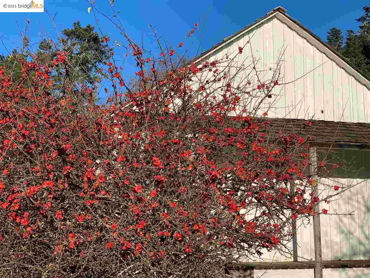 352 Pine Cone, The Sea Ranch, California 95497, ,Lots And Land,For Sale,Pine Cone,40964773