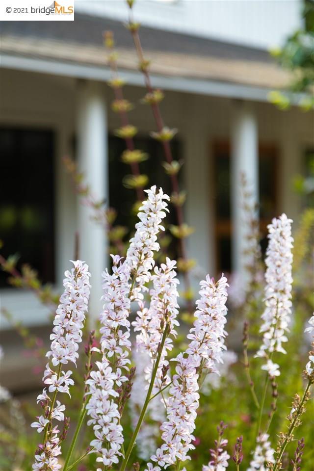 352 Pine Cone, The Sea Ranch, California 95497, ,Lots And Land,For Sale,Pine Cone,40964773