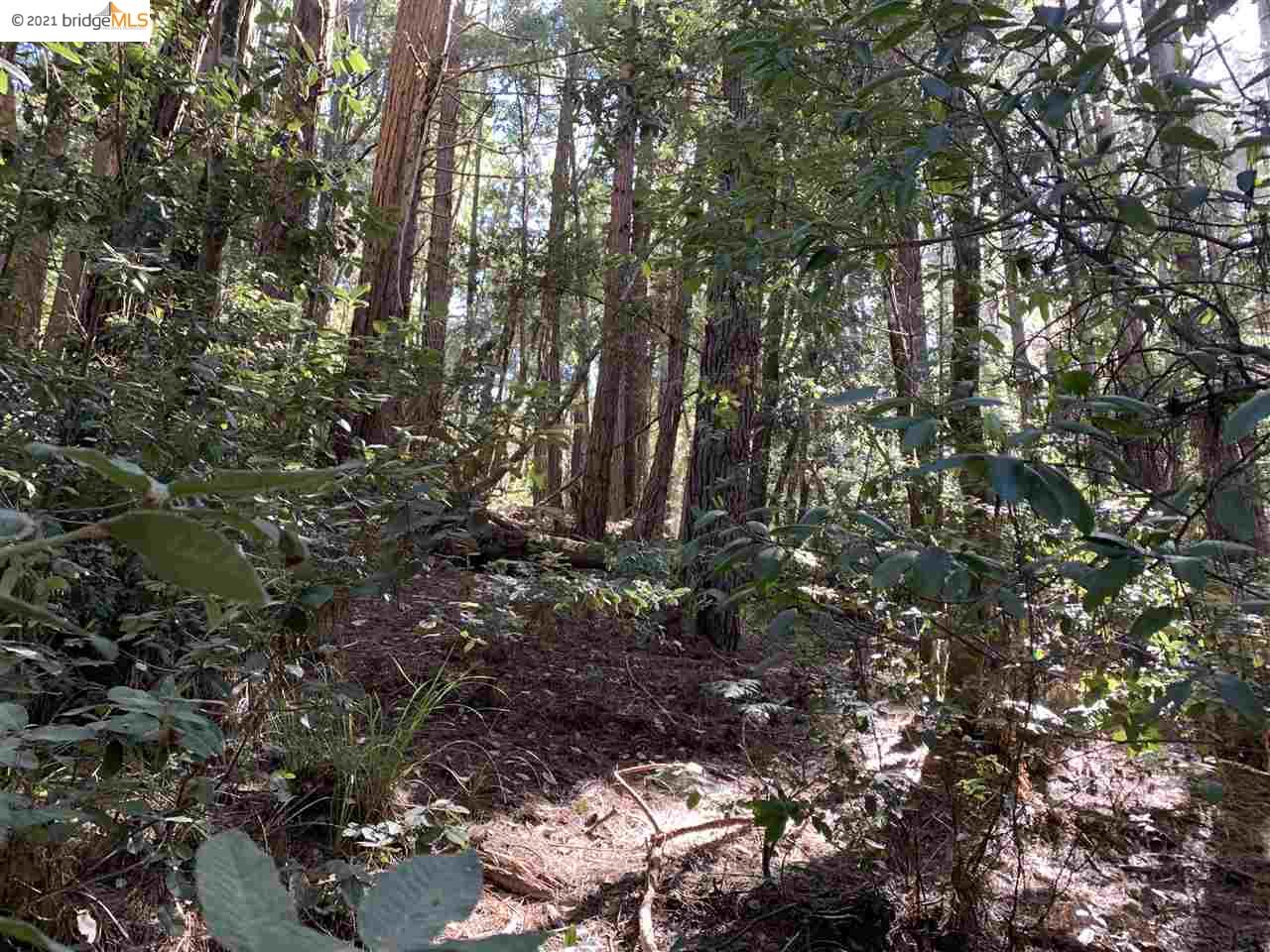 352 Pine Cone, The Sea Ranch, California 95497, ,Lots And Land,For Sale,Pine Cone,40964773