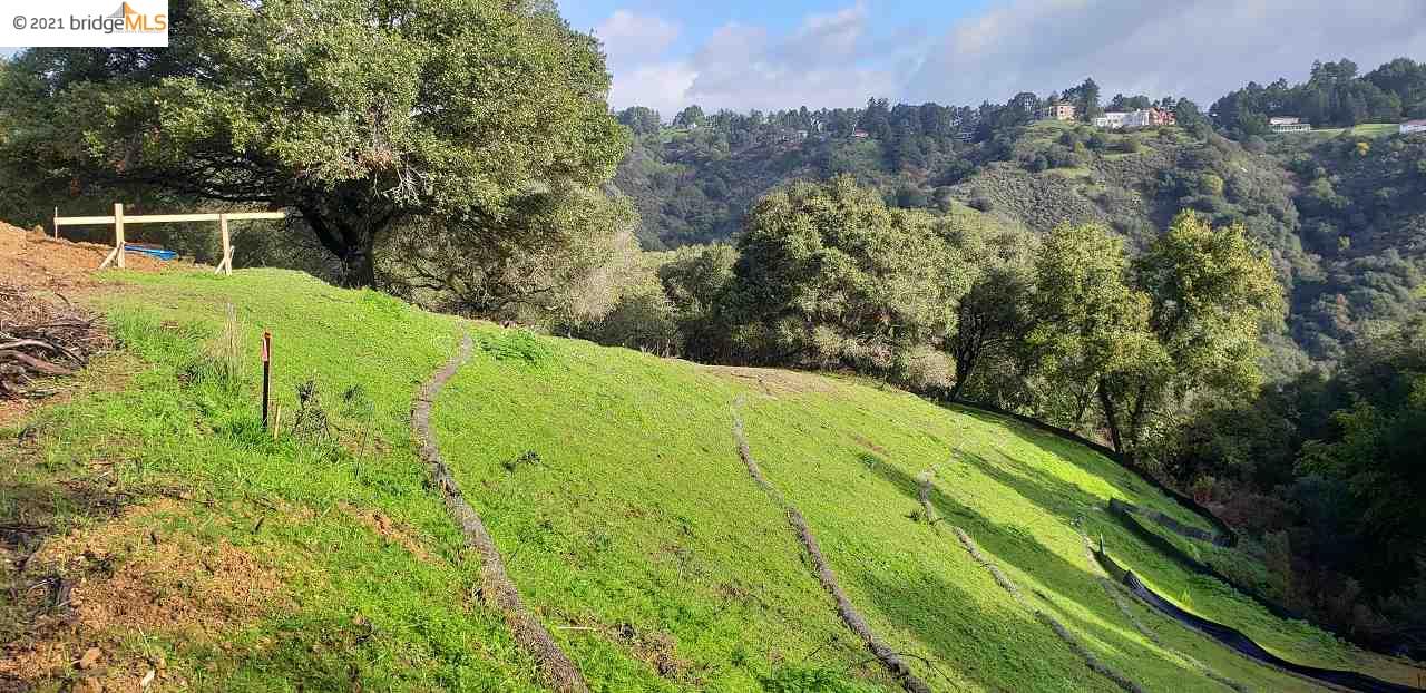 13526 Campus Drive, OAKLAND, California 94605, ,Lots And Land,For Sale,Campus Drive,40964774