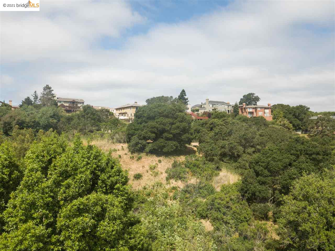 13526 Campus Drive, OAKLAND, California 94605, ,Lots And Land,For Sale,Campus Drive,40964774