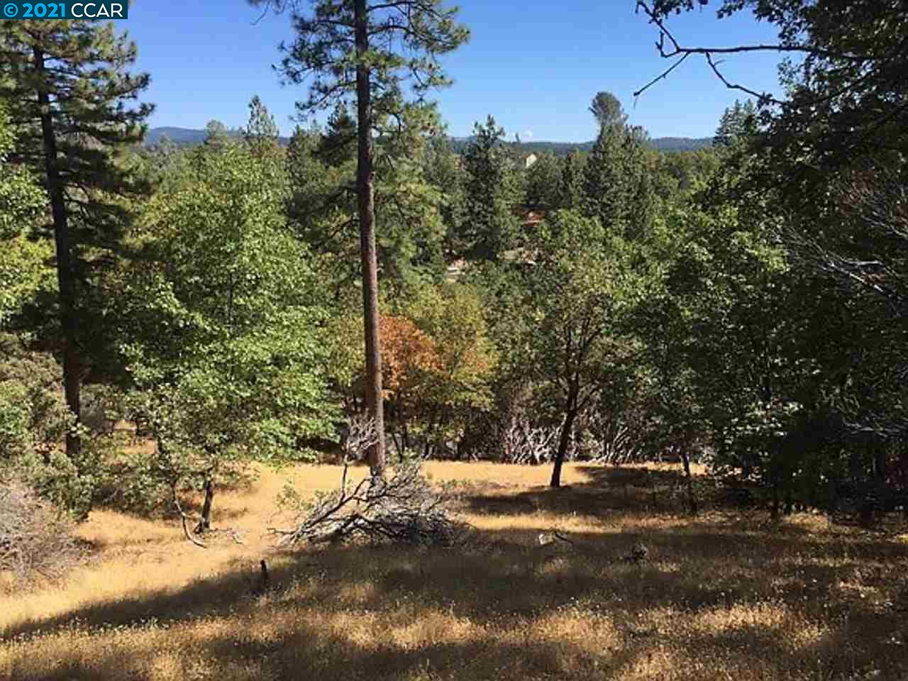52 Escondito Circle, CAMINO, California 95709, ,Lots And Land,For Sale,Escondito Circle,40964819