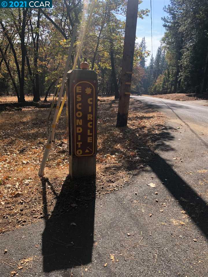 52 Escondito Circle, CAMINO, California 95709, ,Lots And Land,For Sale,Escondito Circle,40964819