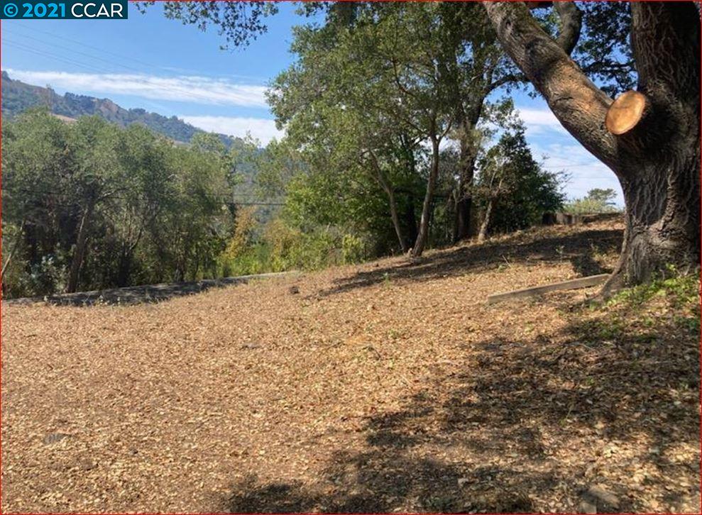 0 Bobolink Rd, ORINDA, California 94563, ,Lots And Land,For Sale,Bobolink Rd,40973811