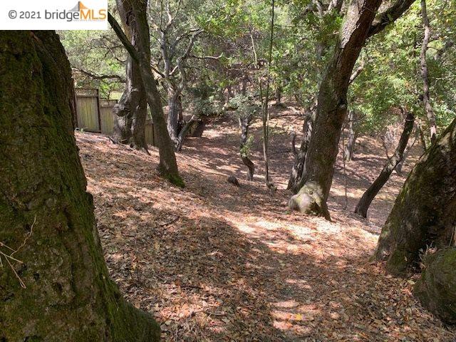 4707 Mendenhall Rd, OAKLAND, California 94605, ,Lots And Land,For Sale,Mendenhall Rd,40964855