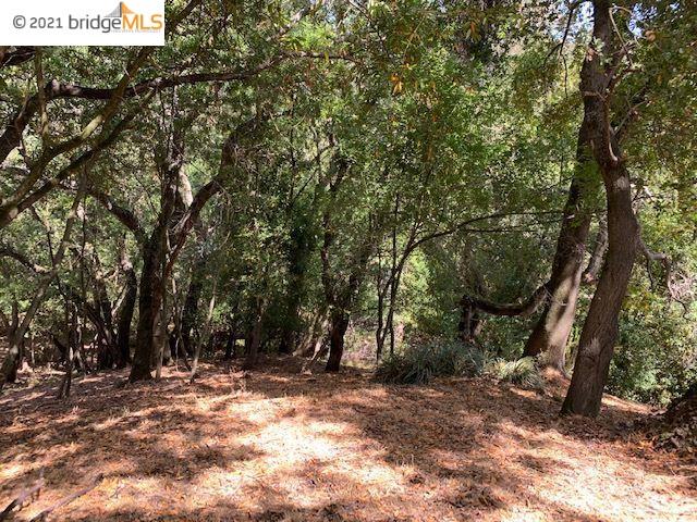 4707 Mendenhall Rd, OAKLAND, California 94605, ,Lots And Land,For Sale,Mendenhall Rd,40964855