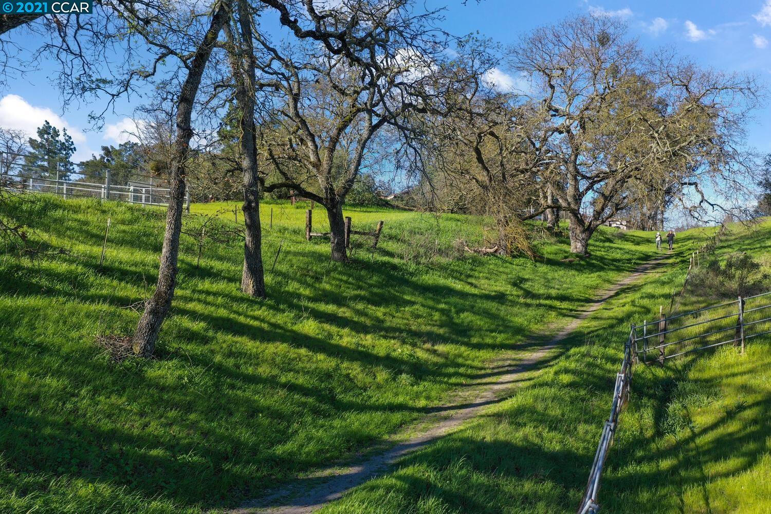 70 Hagen Oaks Ct, ALAMO, California 94507, ,Lots And Land,For Sale,Hagen Oaks Ct,40964891
