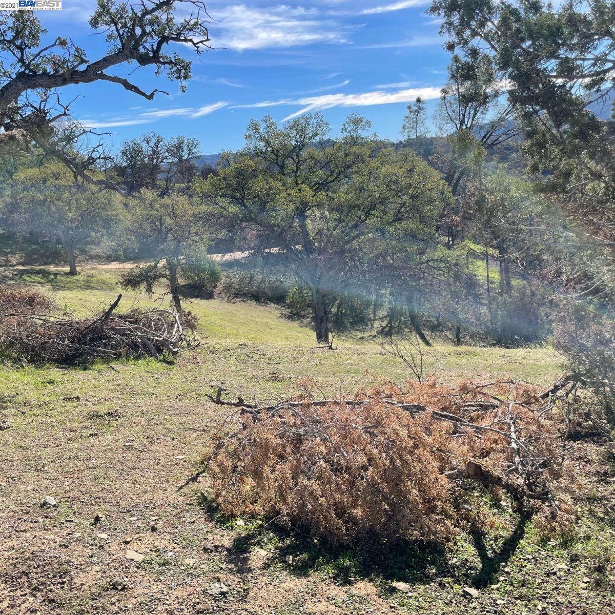 0 Mines Rd, LIVERMORE, California 94550, ,Lots And Land,For Sale,Mines Rd,40964914