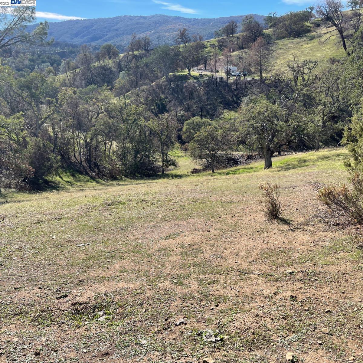 0 Mines Rd, LIVERMORE, California 94550, ,Lots And Land,For Sale,Mines Rd,40964914