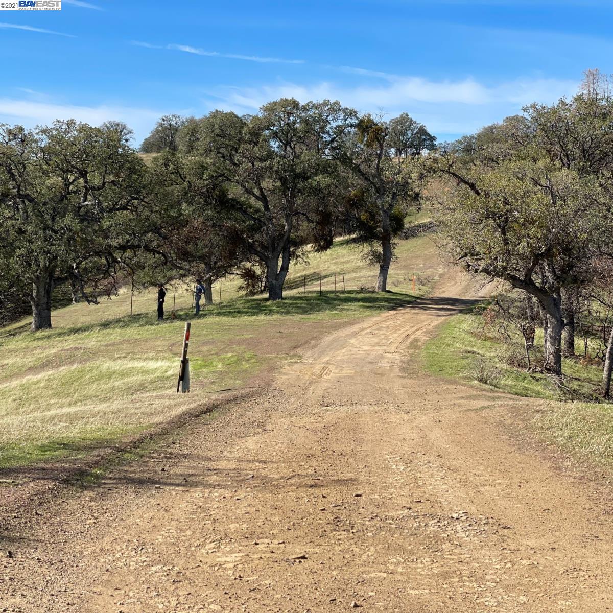 0 Mines Rd, LIVERMORE, California 94550, ,Lots And Land,For Sale,Mines Rd,40964914