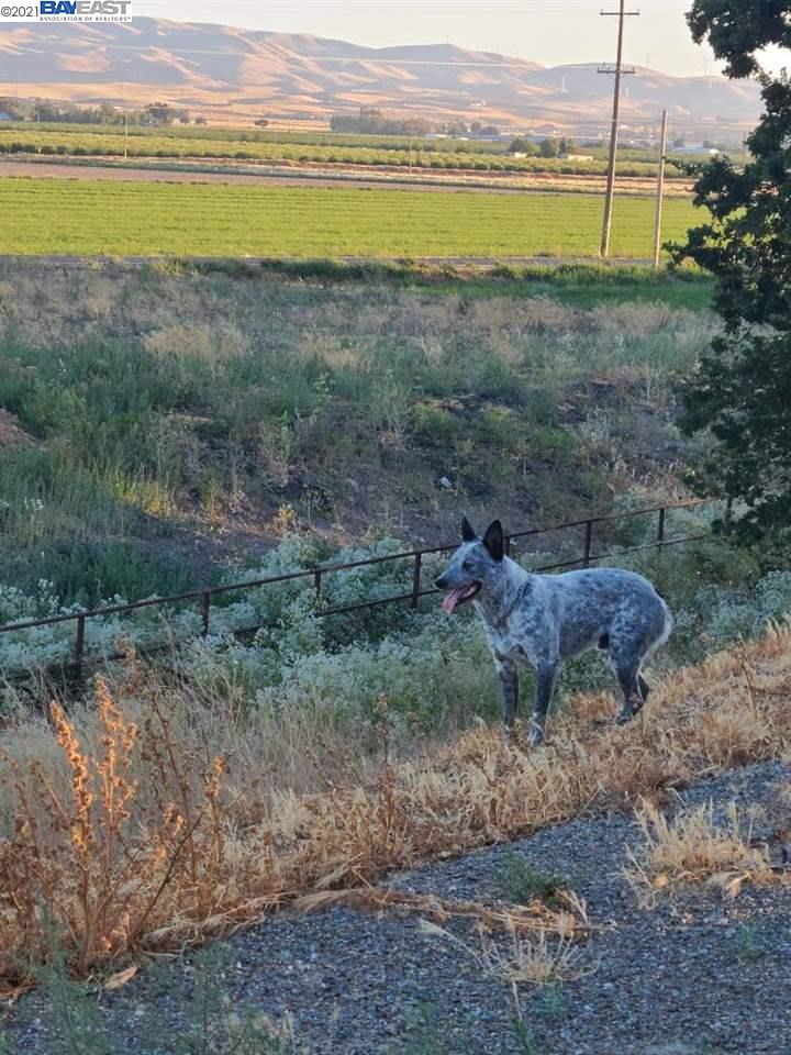 0 Bethany RD, TRACY, California 95302, ,Lots And Land,For Sale,Bethany RD,40964917