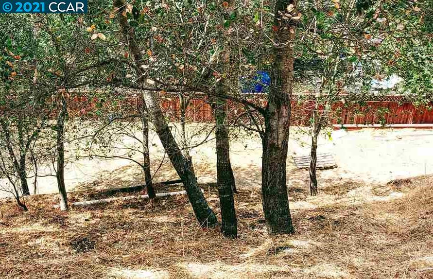 247 Sequoia, WALNUT CREEK, California 94595, ,Lots And Land,For Sale,Sequoia,40964965