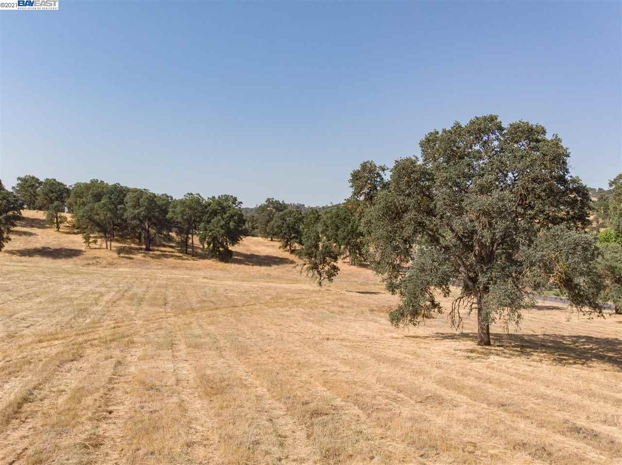 1317 Quill Rd, COPPEROPOLIS, California 95228, ,Lots And Land,For Sale,Quill Rd,40965011