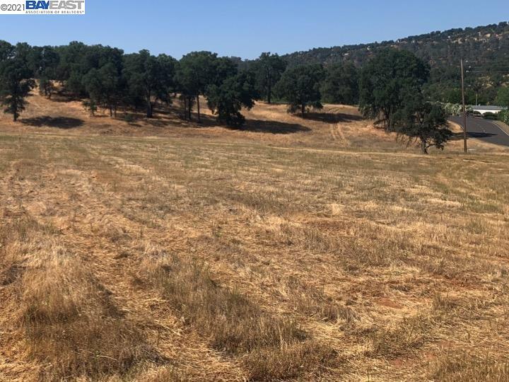 1317 Quill Rd, COPPEROPOLIS, California 95228, ,Lots And Land,For Sale,Quill Rd,40965011