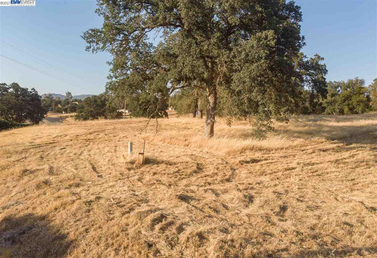 1317 Quill Rd, COPPEROPOLIS, California 95228, ,Lots And Land,For Sale,Quill Rd,40965011