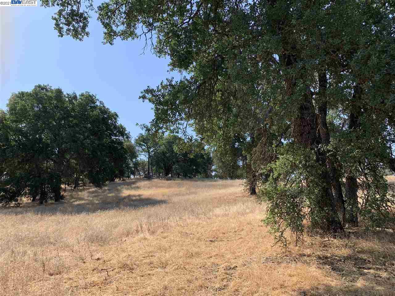 1317 Quill Rd, COPPEROPOLIS, California 95228, ,Lots And Land,For Sale,Quill Rd,40965011