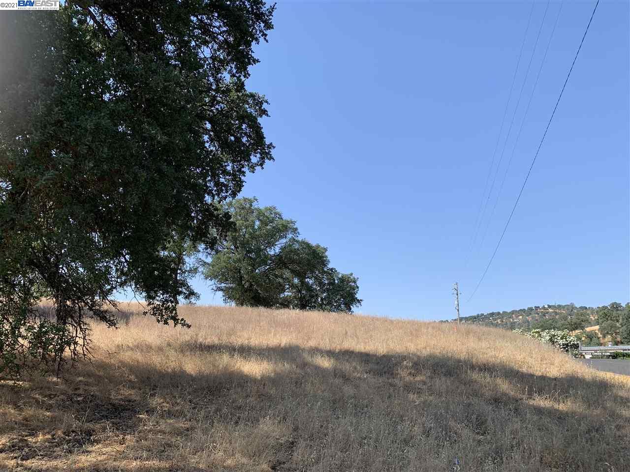 1317 Quill Rd, COPPEROPOLIS, California 95228, ,Lots And Land,For Sale,Quill Rd,40965011