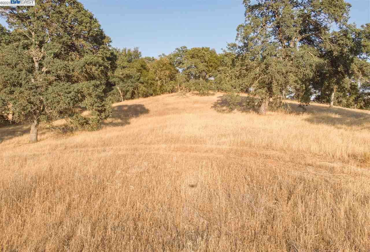 1317 Quill Rd, COPPEROPOLIS, California 95228, ,Lots And Land,For Sale,Quill Rd,40965011