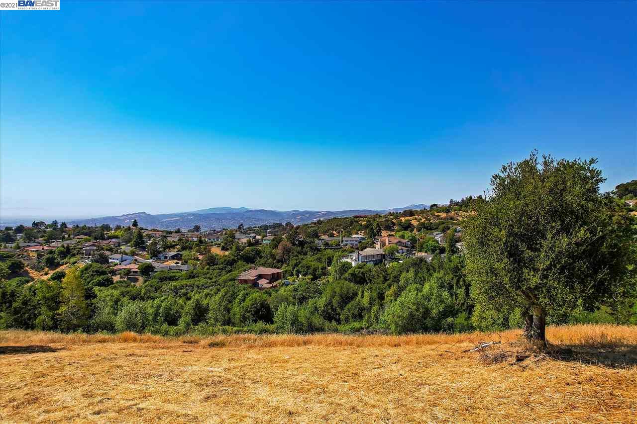 Arbutus Ct, HAYWARD, California 94542, ,Lots And Land,For Sale,Arbutus Ct,40965025