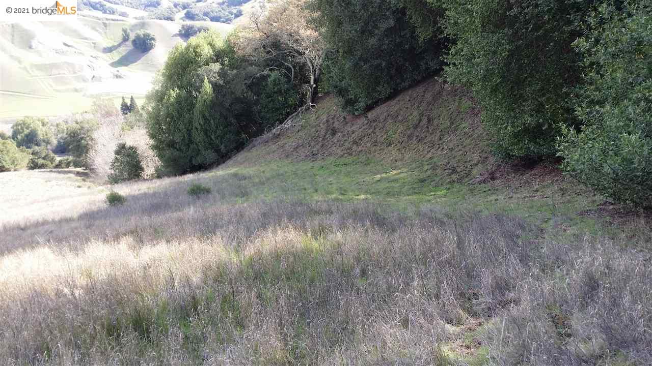 8950 Crow Canyon Rd, CASTRO VALLEY, California 94552, ,Lots And Land,For Sale,Crow Canyon Rd,40965148