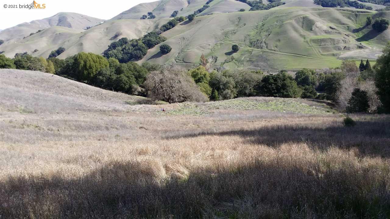 8950 Crow Canyon Rd, CASTRO VALLEY, California 94552, ,Lots And Land,For Sale,Crow Canyon Rd,40965148
