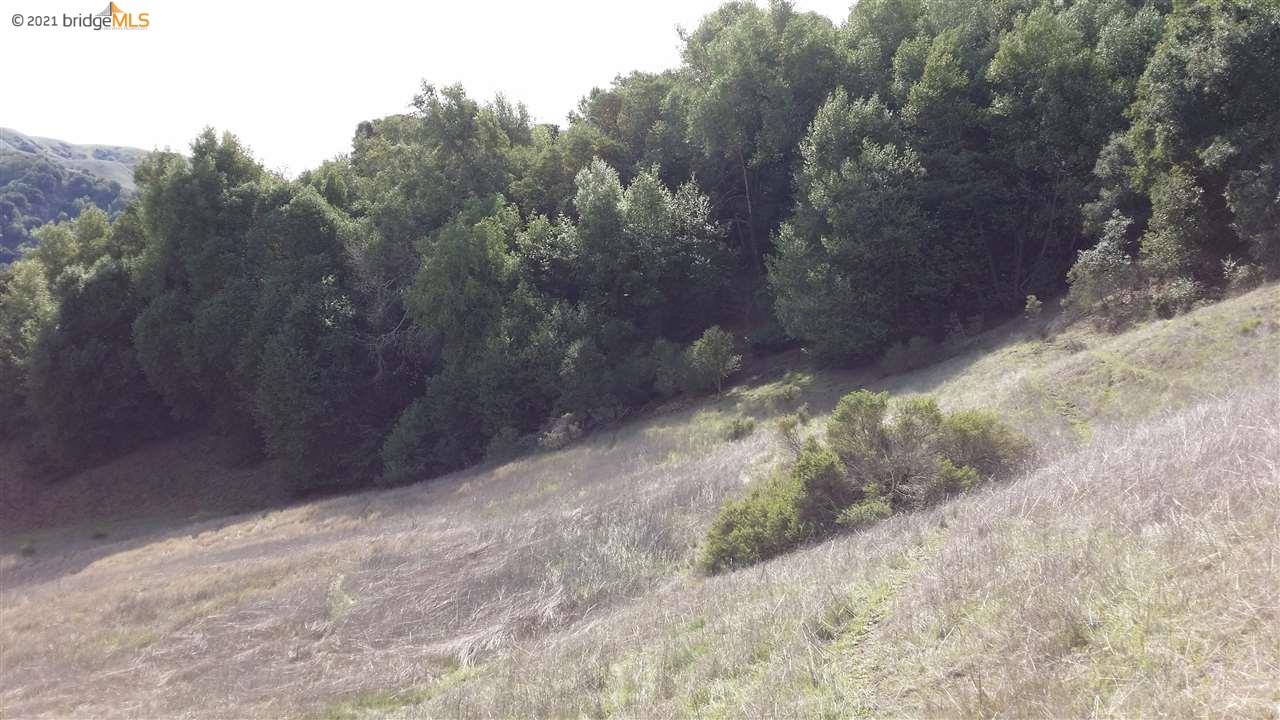 8950 Crow Canyon Rd, CASTRO VALLEY, California 94552, ,Lots And Land,For Sale,Crow Canyon Rd,40965148