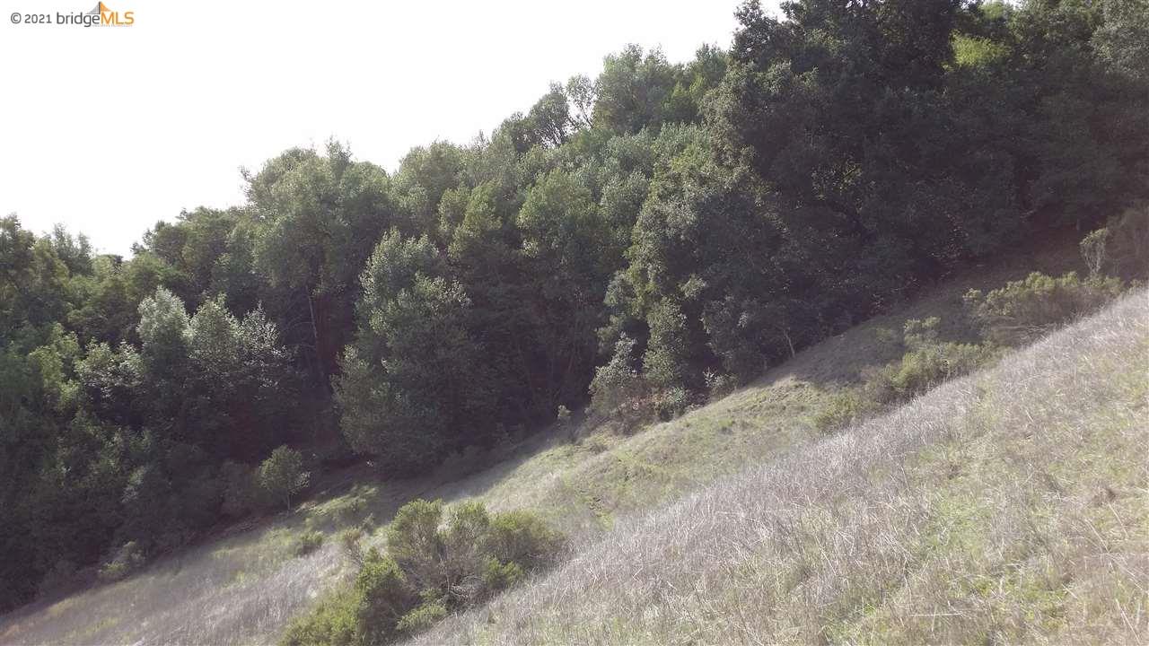 8950 Crow Canyon Rd, CASTRO VALLEY, California 94552, ,Lots And Land,For Sale,Crow Canyon Rd,40965148